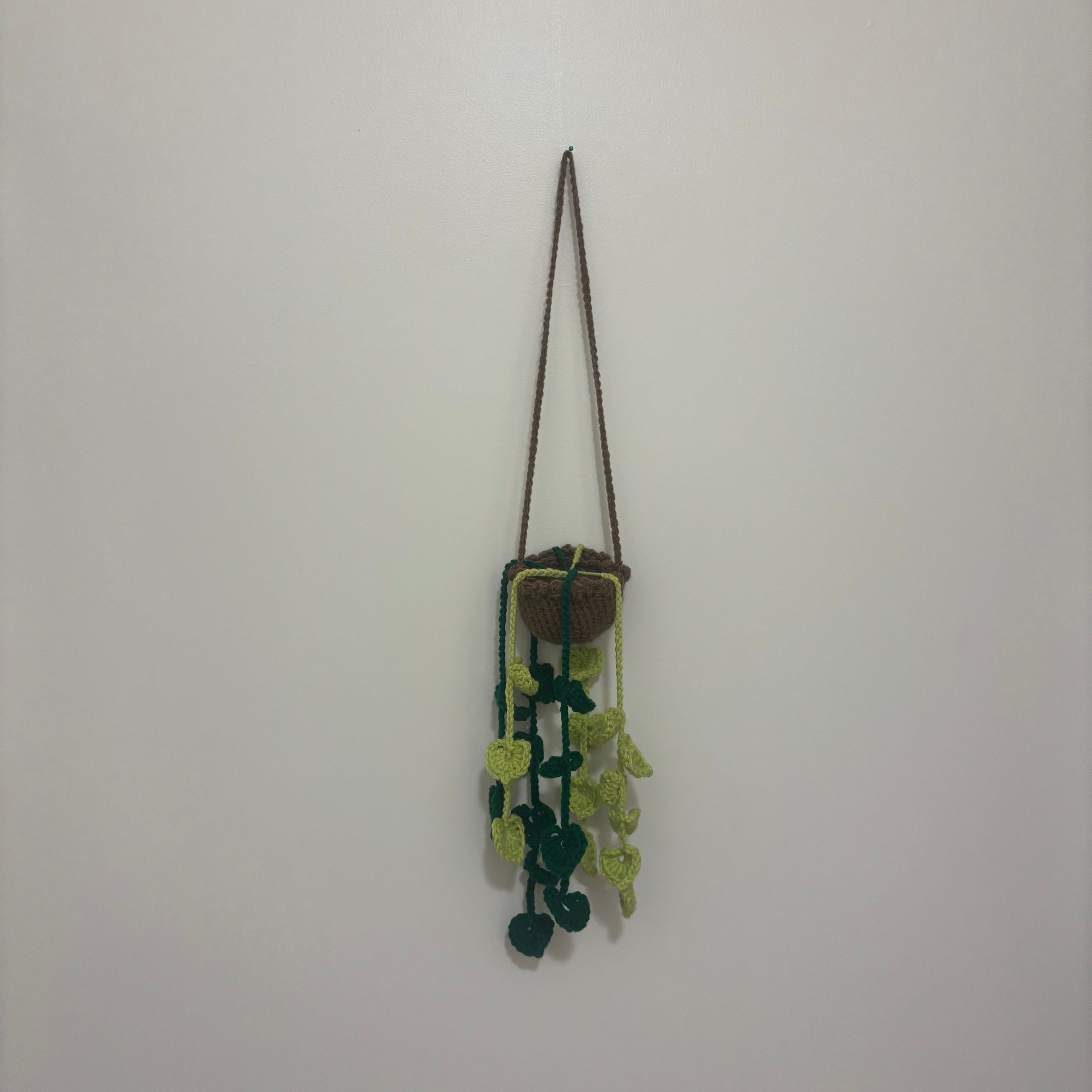 Potted Hanging Plant